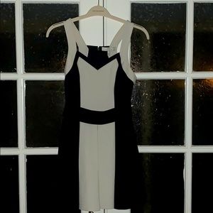 Robert Rodriquez Fit and Flare Dress